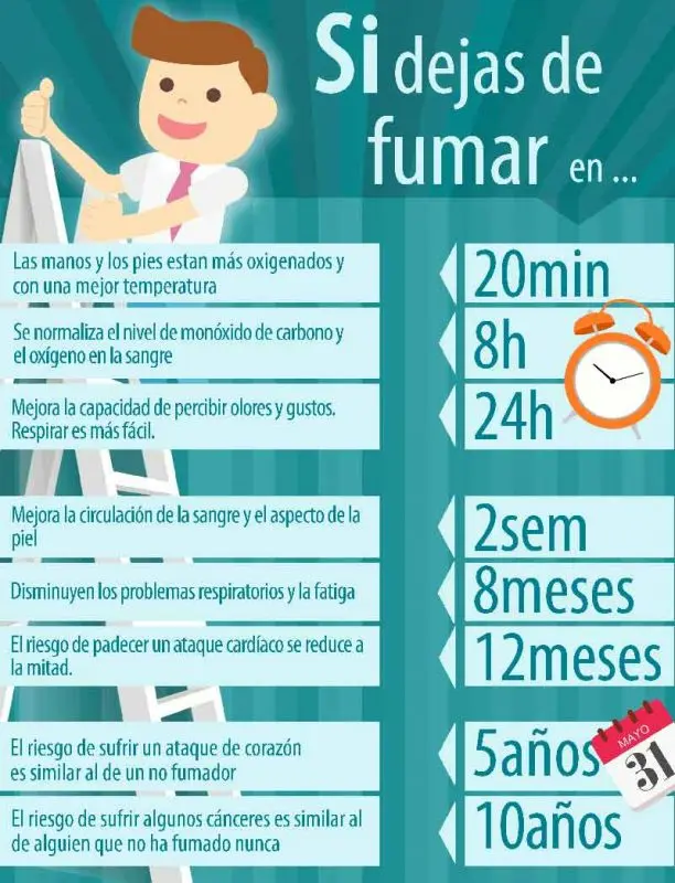 Seu corpo é um templo (e o Estado, às vezes, é um problema) 1 beneficiosdejarfumar