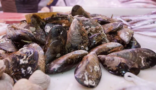 mejillones ok