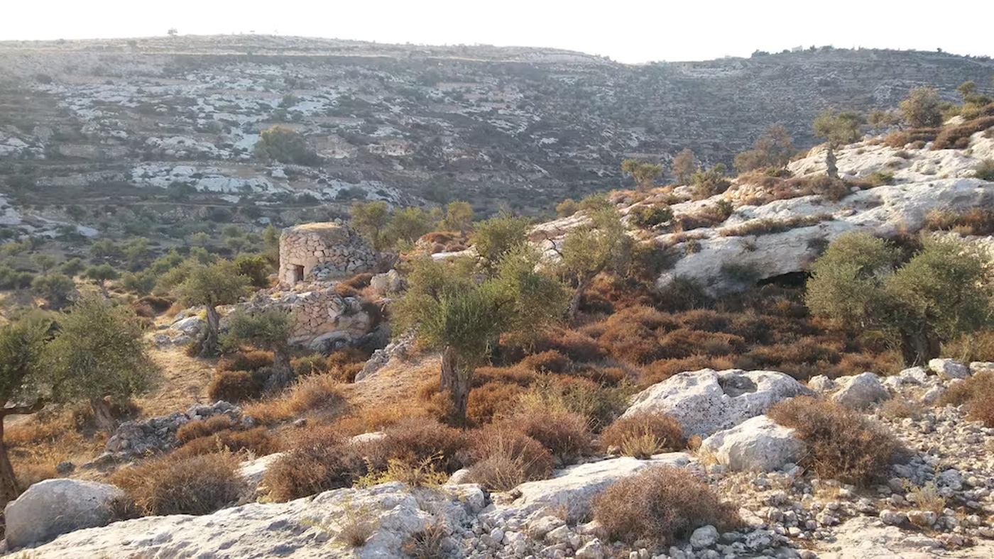 torres de vigilancia belen