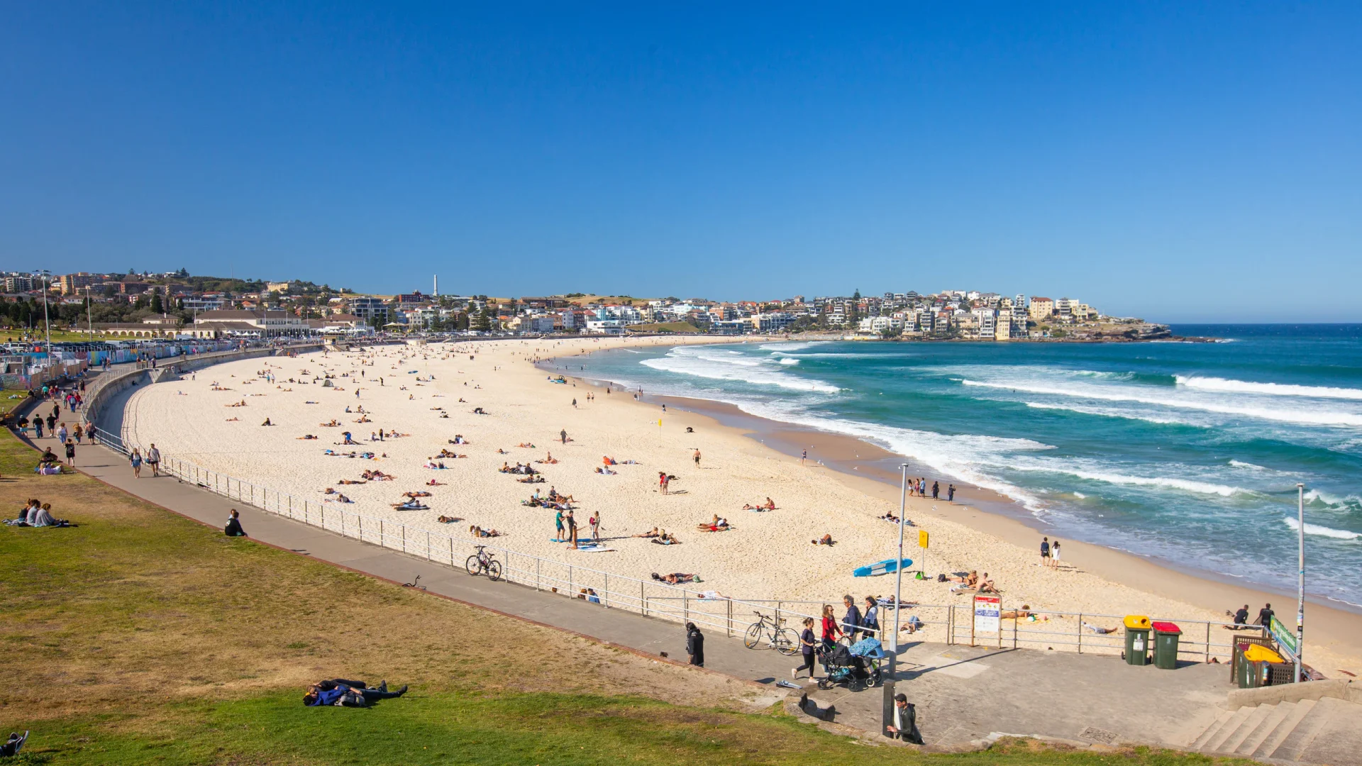 Bondi Beach