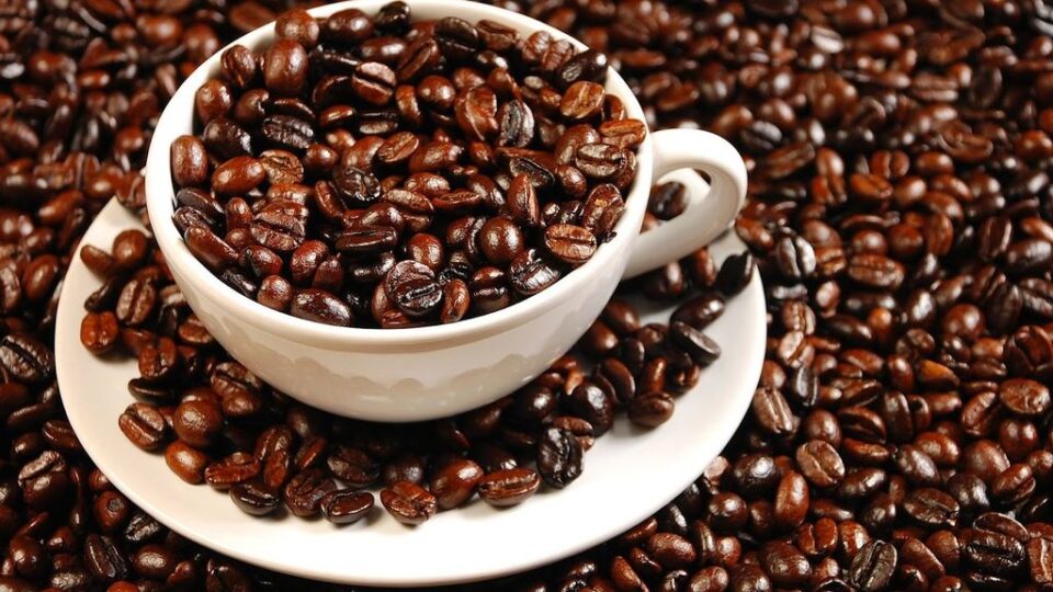 semillas de café